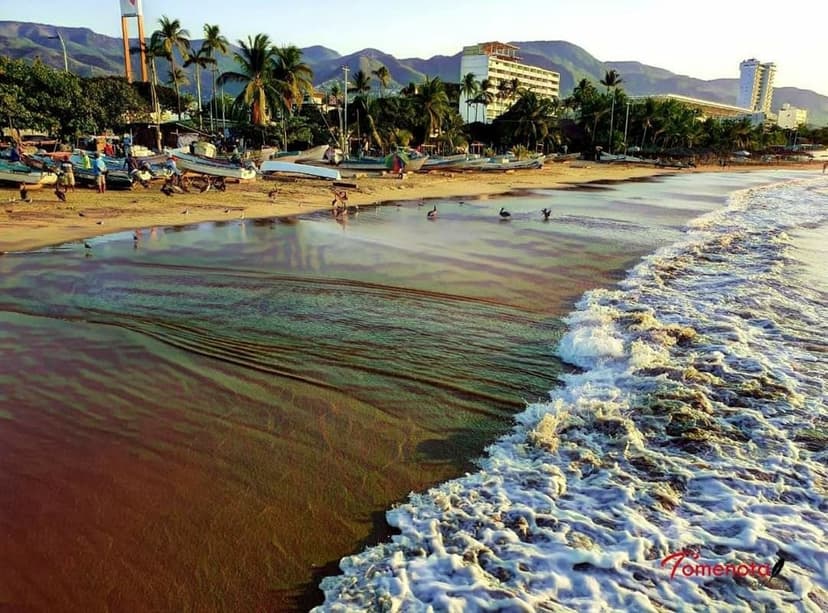 Playa Las Hamacas en Acapulco con arena y palmeras